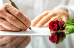 apology-letter